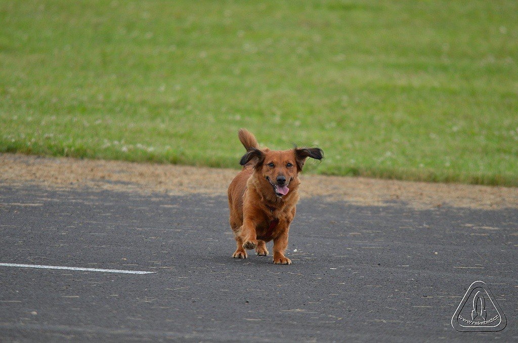 2013 Suche 29062013 Michal